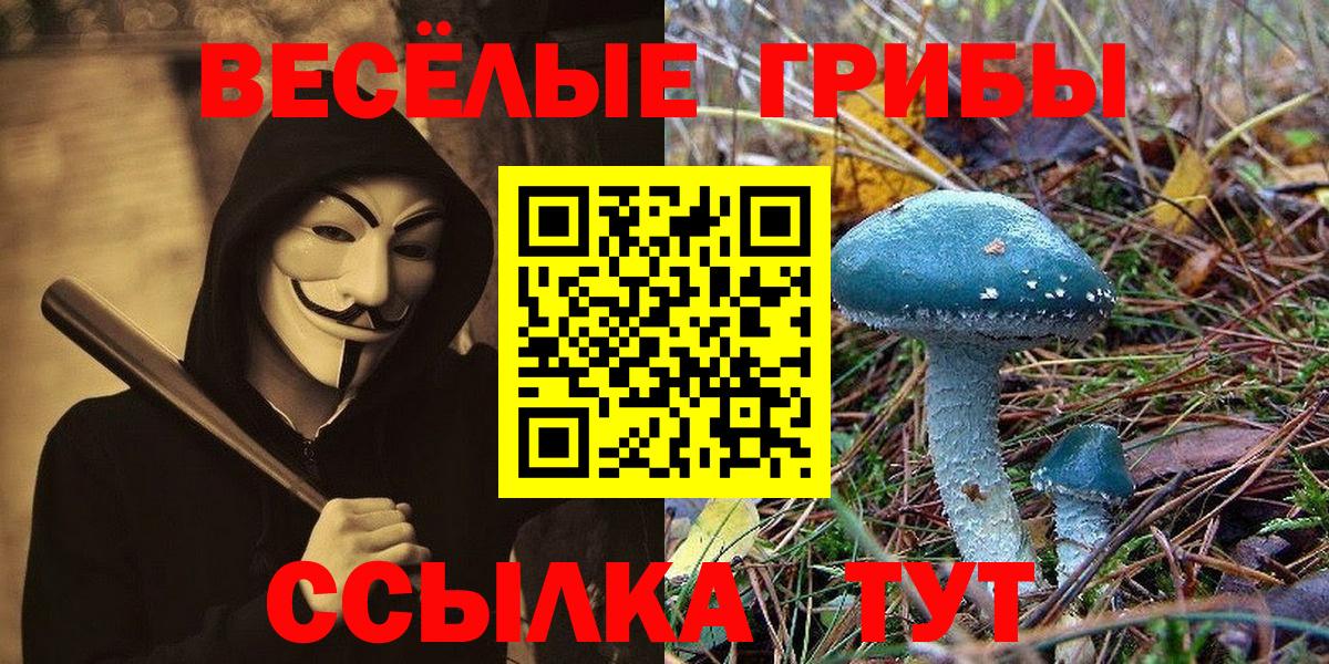 Псилоцибиновые грибы Cubensis Великий Устюг
